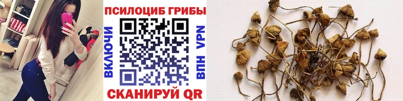 Псилоцибиновые грибы GOLDEN TEACHER  наркошоп  blacksprut ТОР  Татарск 